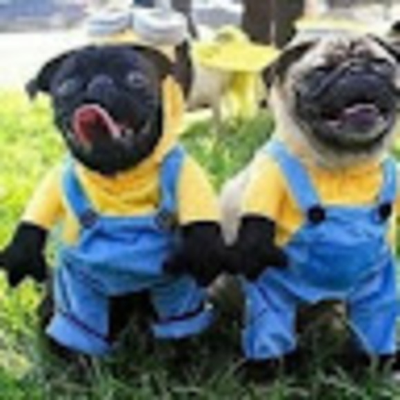 Meet your Posher, Golly - Picture 1 of 1